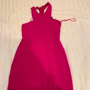Express Hot Pink Dress